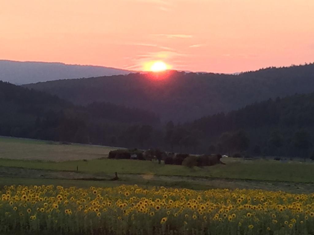 Ferienwohnung Sauerlandblick Goldhausen Esterno foto