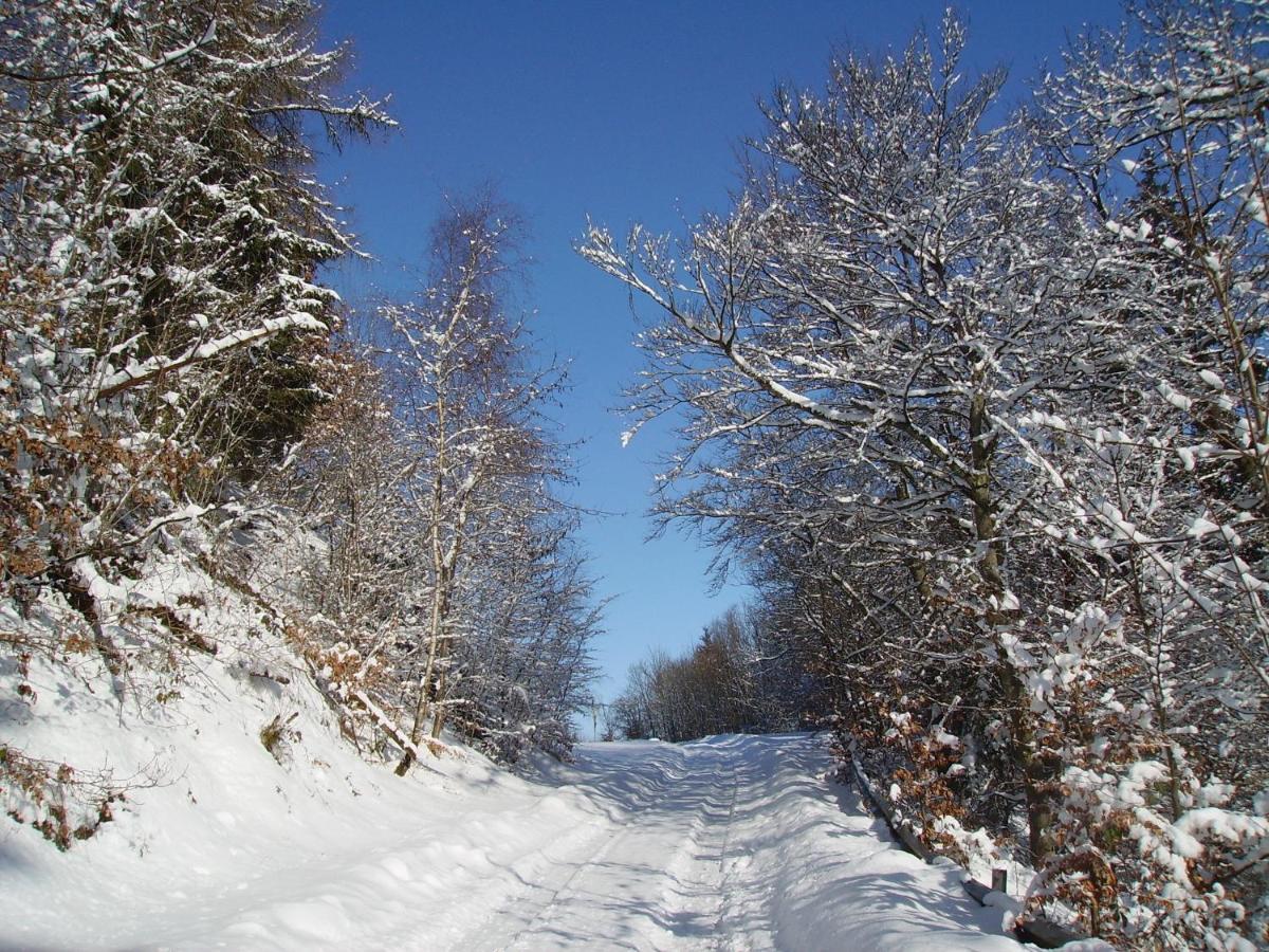 Ferienwohnung Sauerlandblick Goldhausen Esterno foto